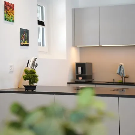 Penthouse Mit Panoramaterrasse & Bergblick In Apartment *