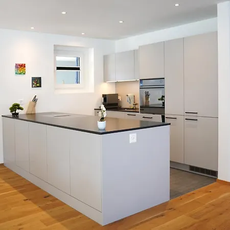 Apartment Penthouse Mit Panoramaterrasse & Bergblick In Landquart